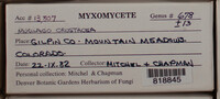 Image Associated With the Occurence